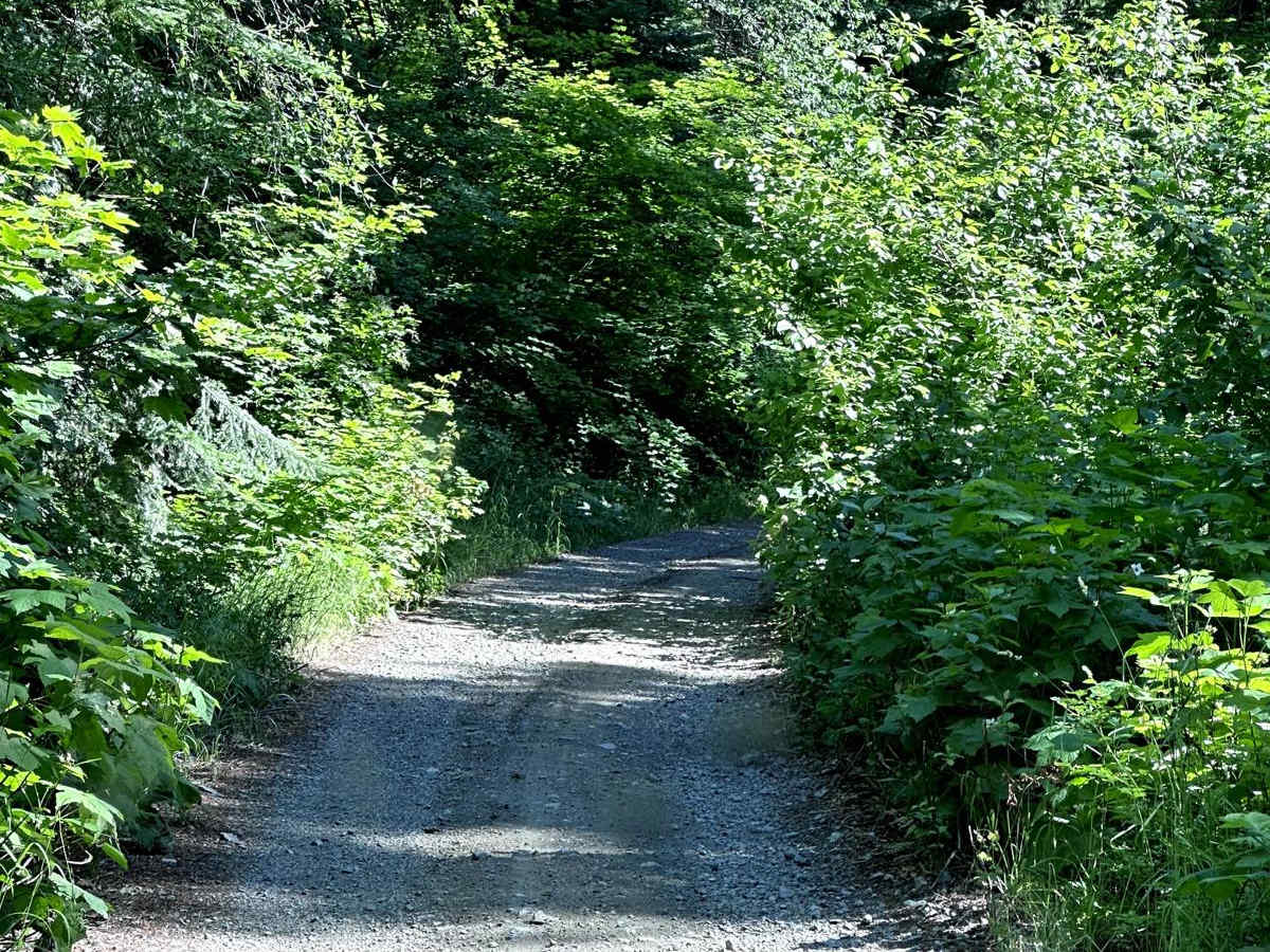 Second Creek Road photo 2