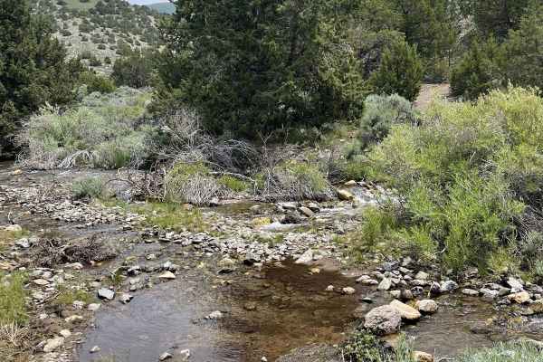 Sonoma Creek Trail