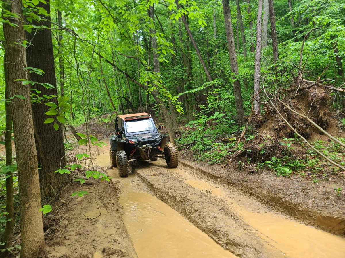 Stell Branch Trail - Trail 11 photo 3
