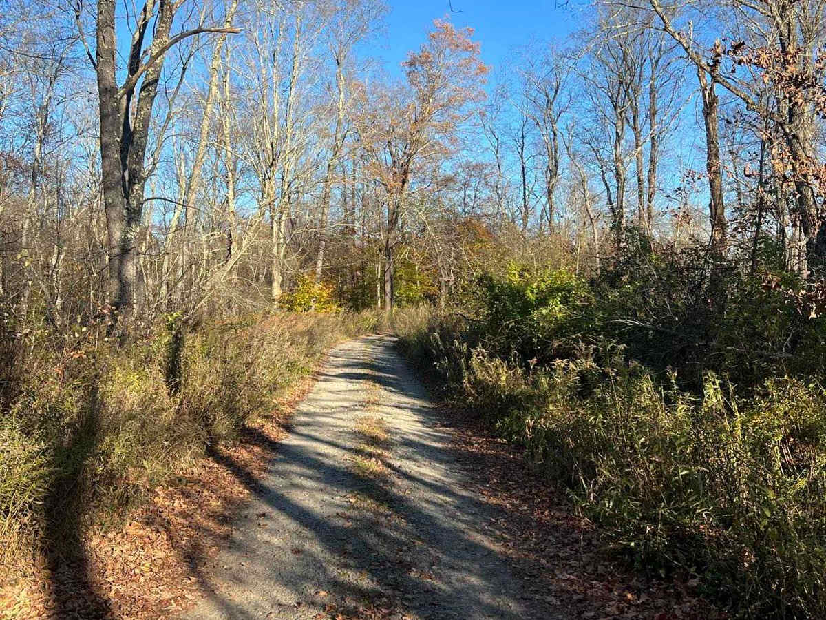 Plank Road photo 3