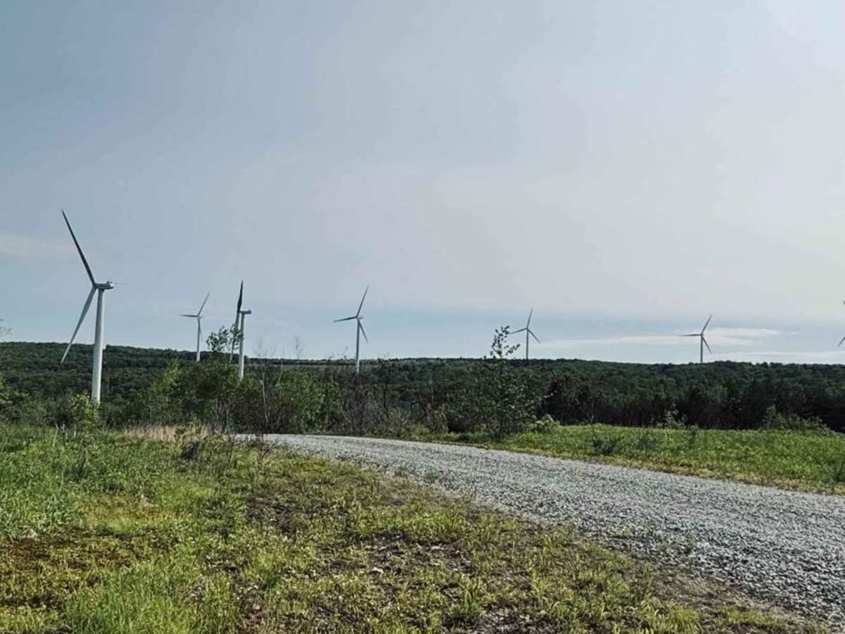 Babcock Trail photo 5