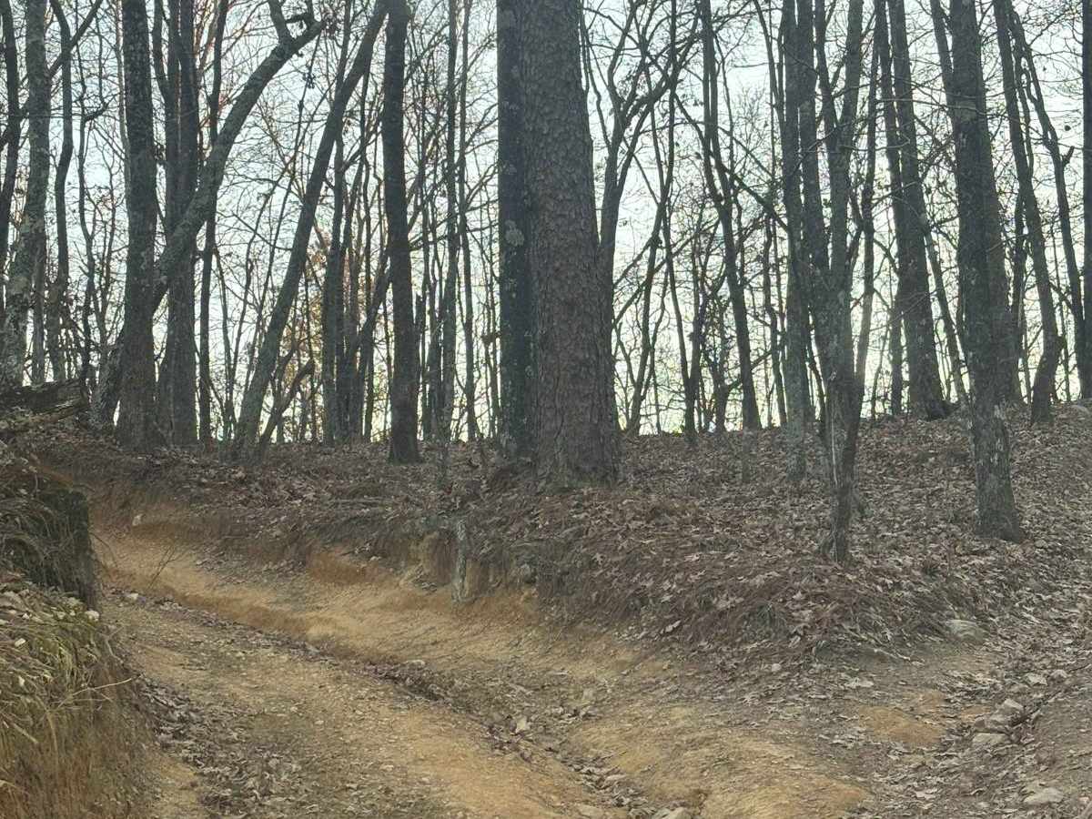 Lincoln View Trail photo 6