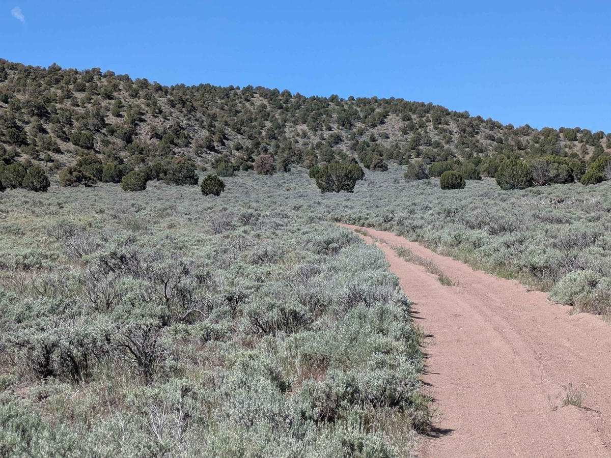 BLM 30228 photo 2