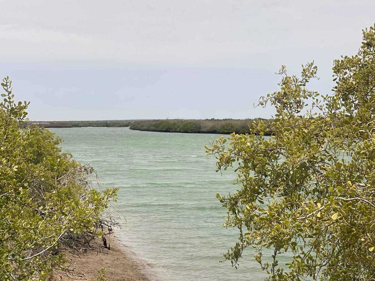Campo de Camaron trail photo