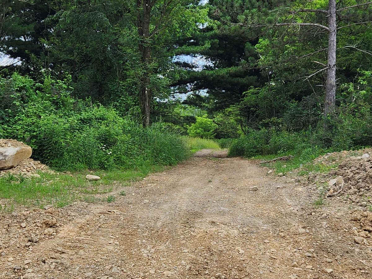 Trail 10A - Rock Run Recreation Area photo 2