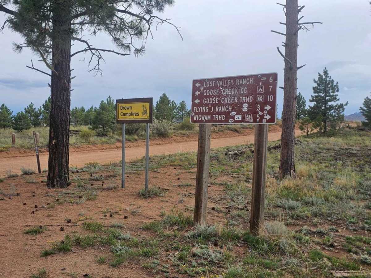 Matukat Road trail photo
