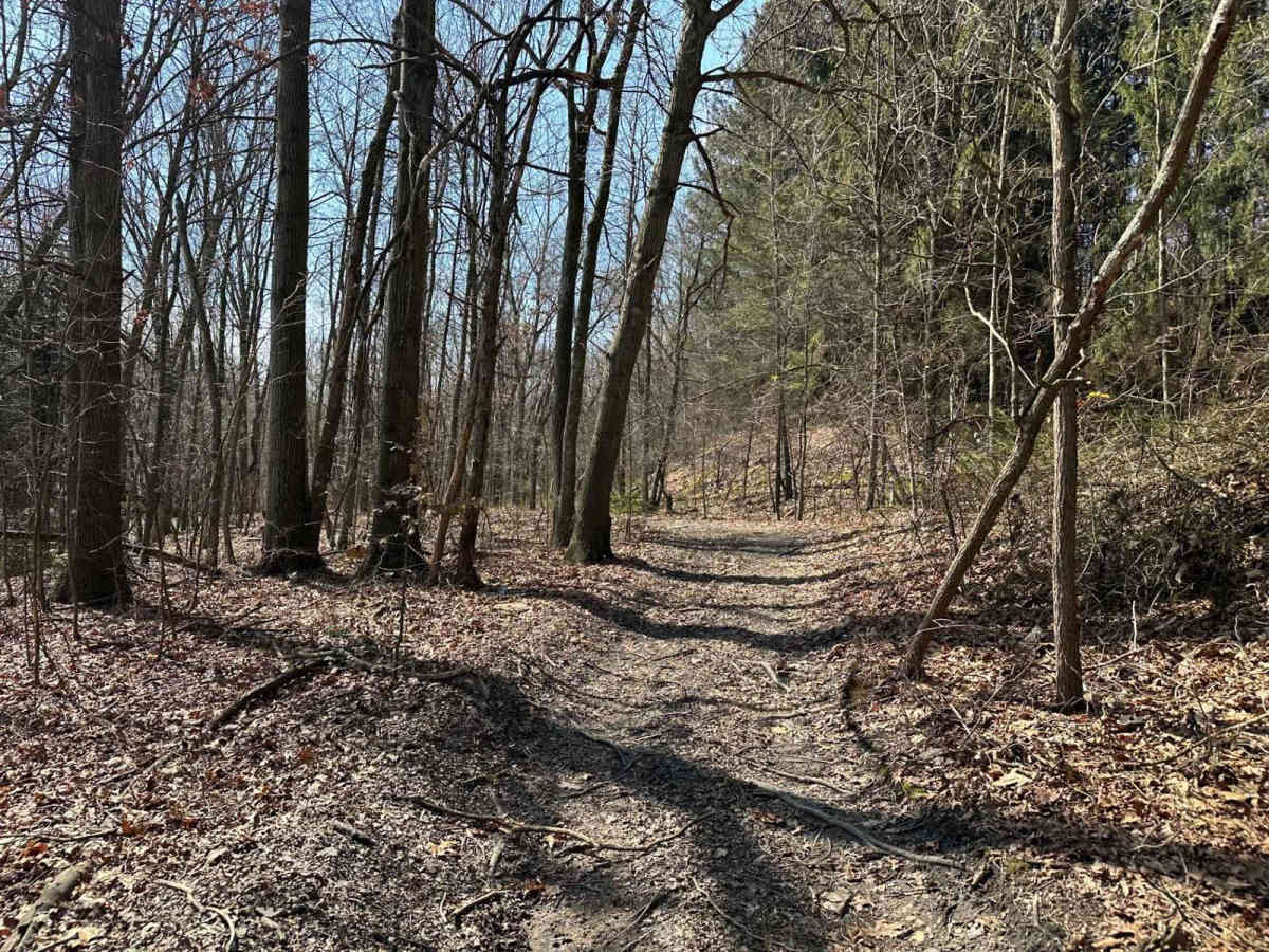 Ashland 105 photo 4
