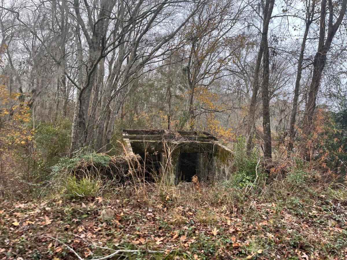 Kathwood Trail photo 4