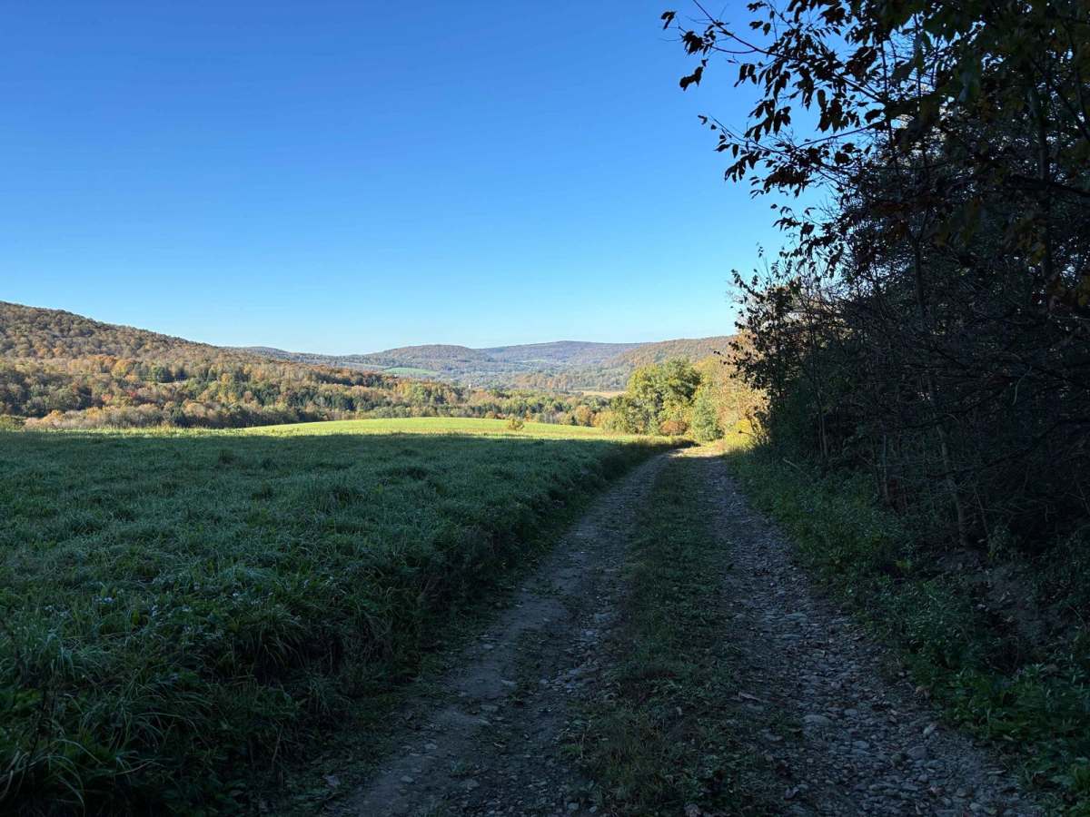 Cuyler Hill PFAR trail photo