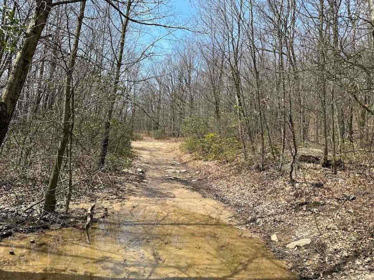 St. Keirns 84 trail photo