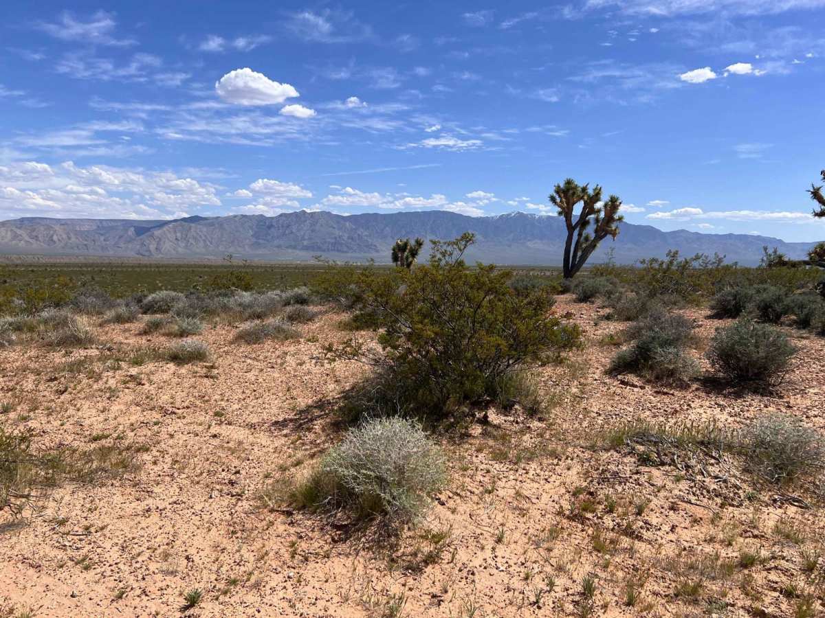 Old Mormon Wagon Trail (West) photo 6