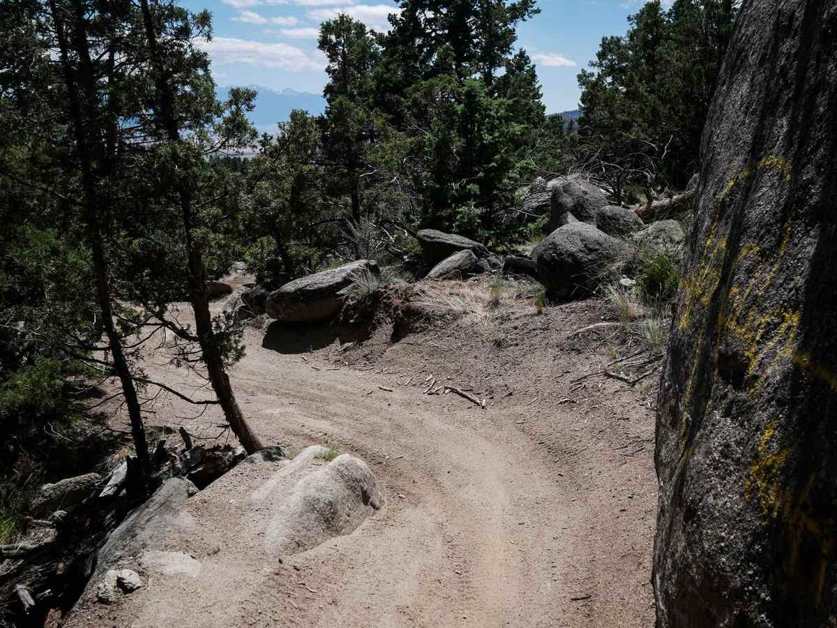 BLM 14 photo 4