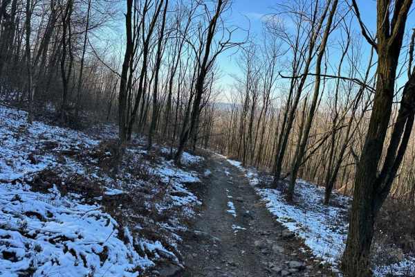 Locust Gap 7 - Northwest