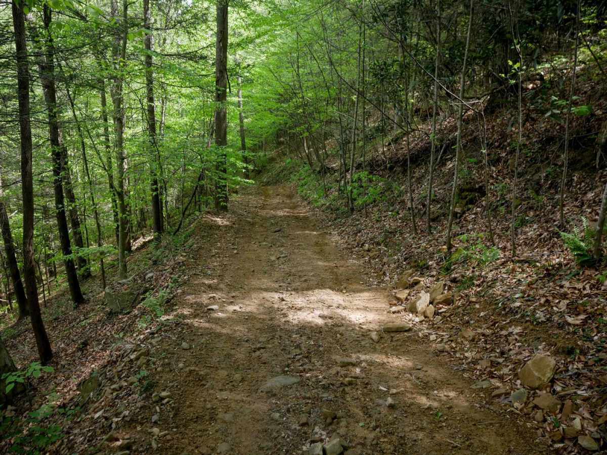 PC 56 trail photo