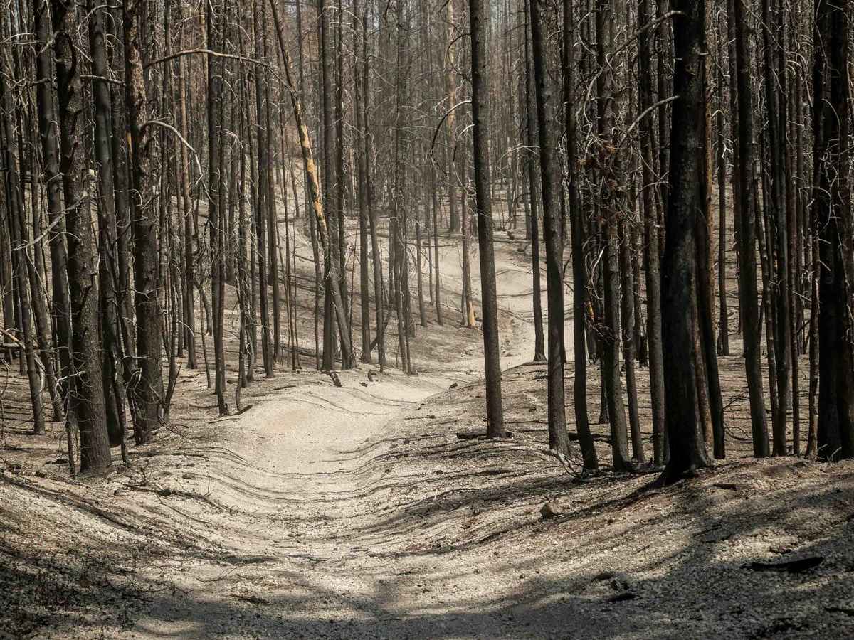 80 trail photo