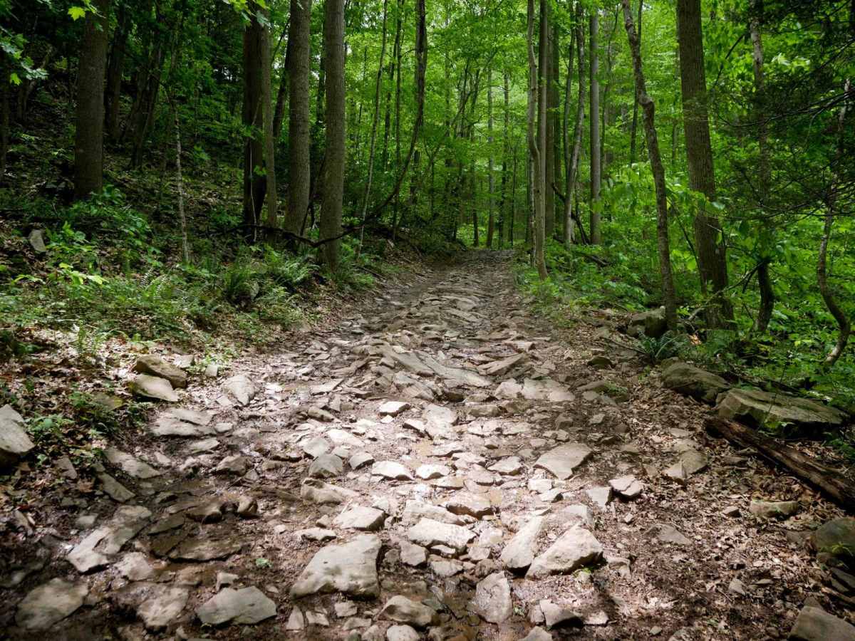 Trail 7 photo 6