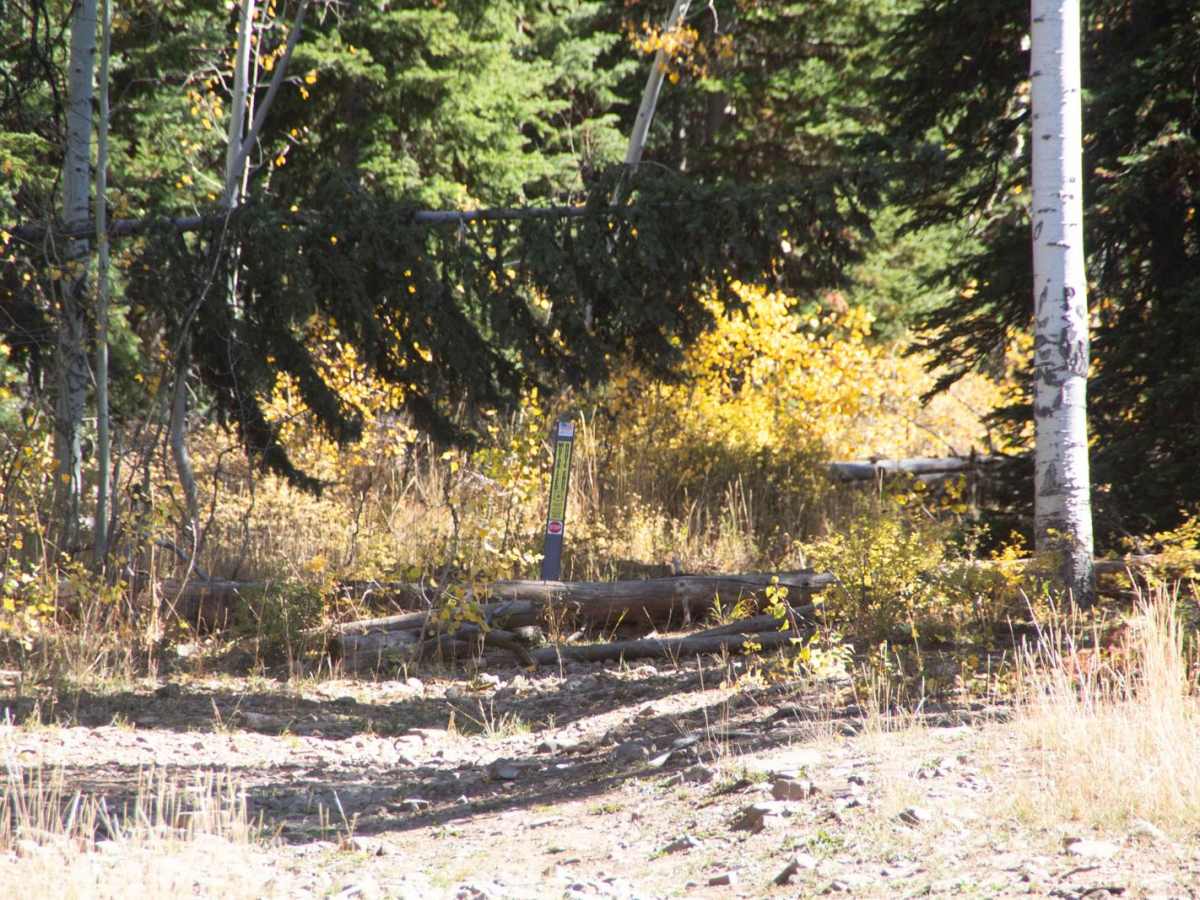 Lambert Hollow photo 5