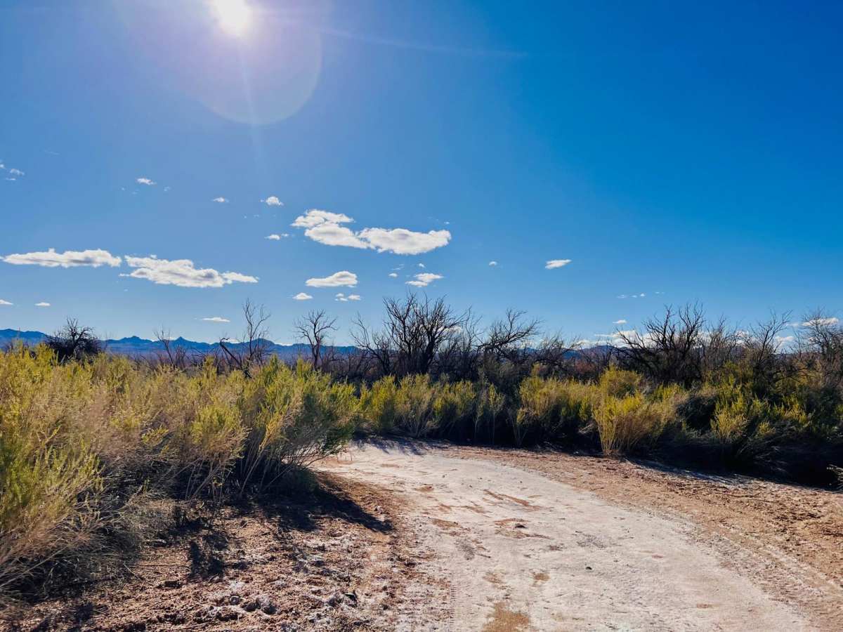 Airport Cove Loop photo 6