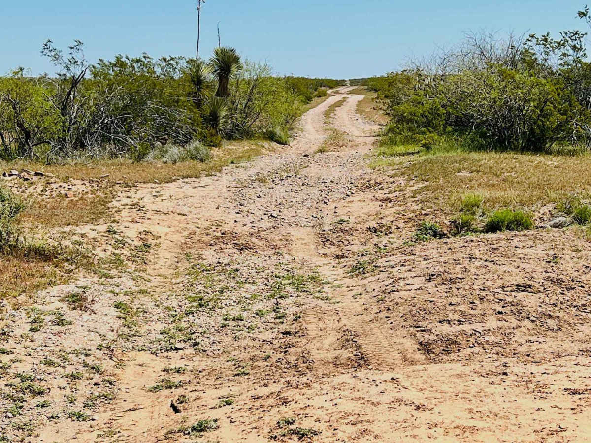 Meander Along photo 6