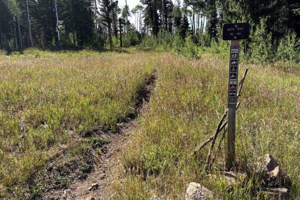 Buck Trail