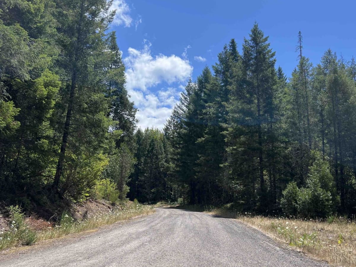 Buck Creek 2120 photo 4