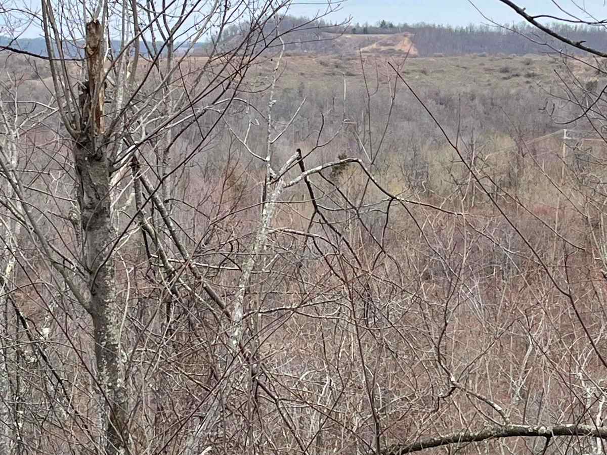 Trail 15 photo 2