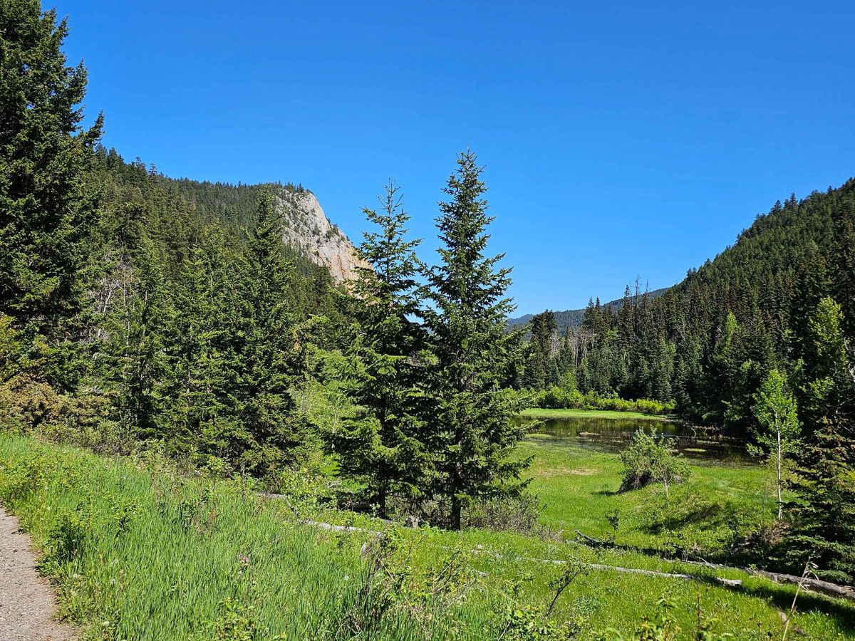 Hat Creek Road photo 2