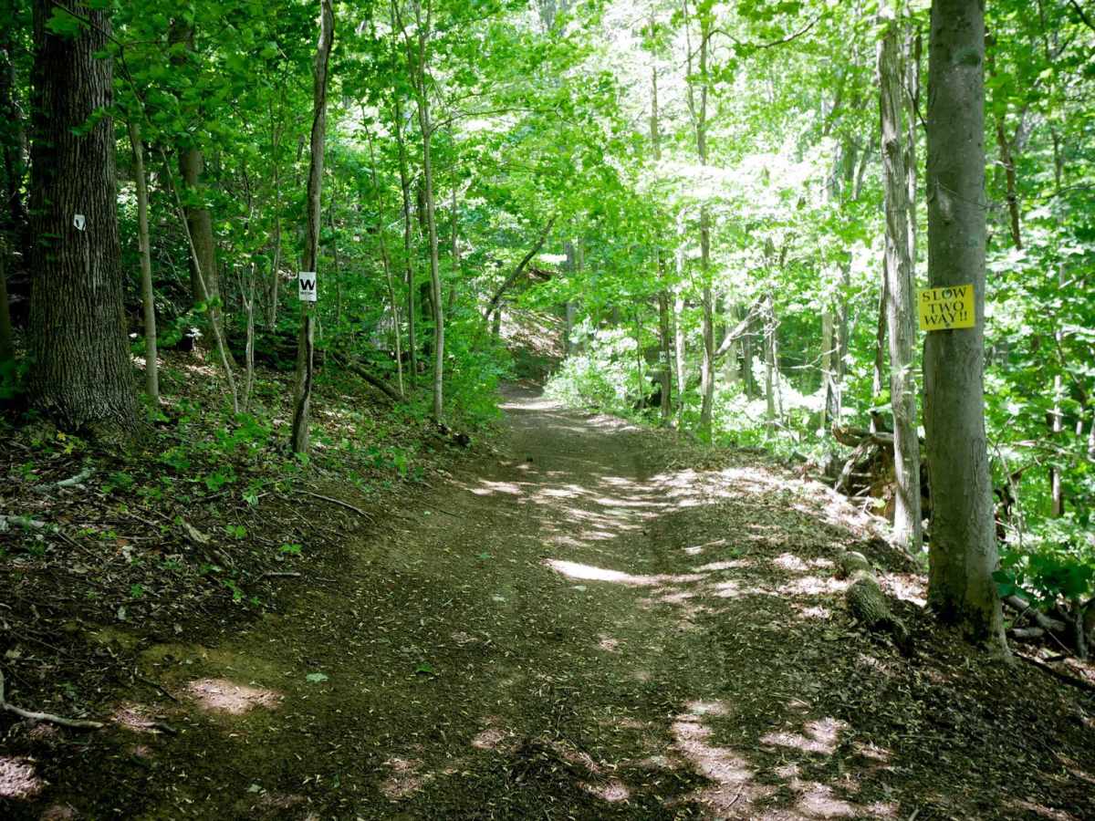 Trail 13 photo 3