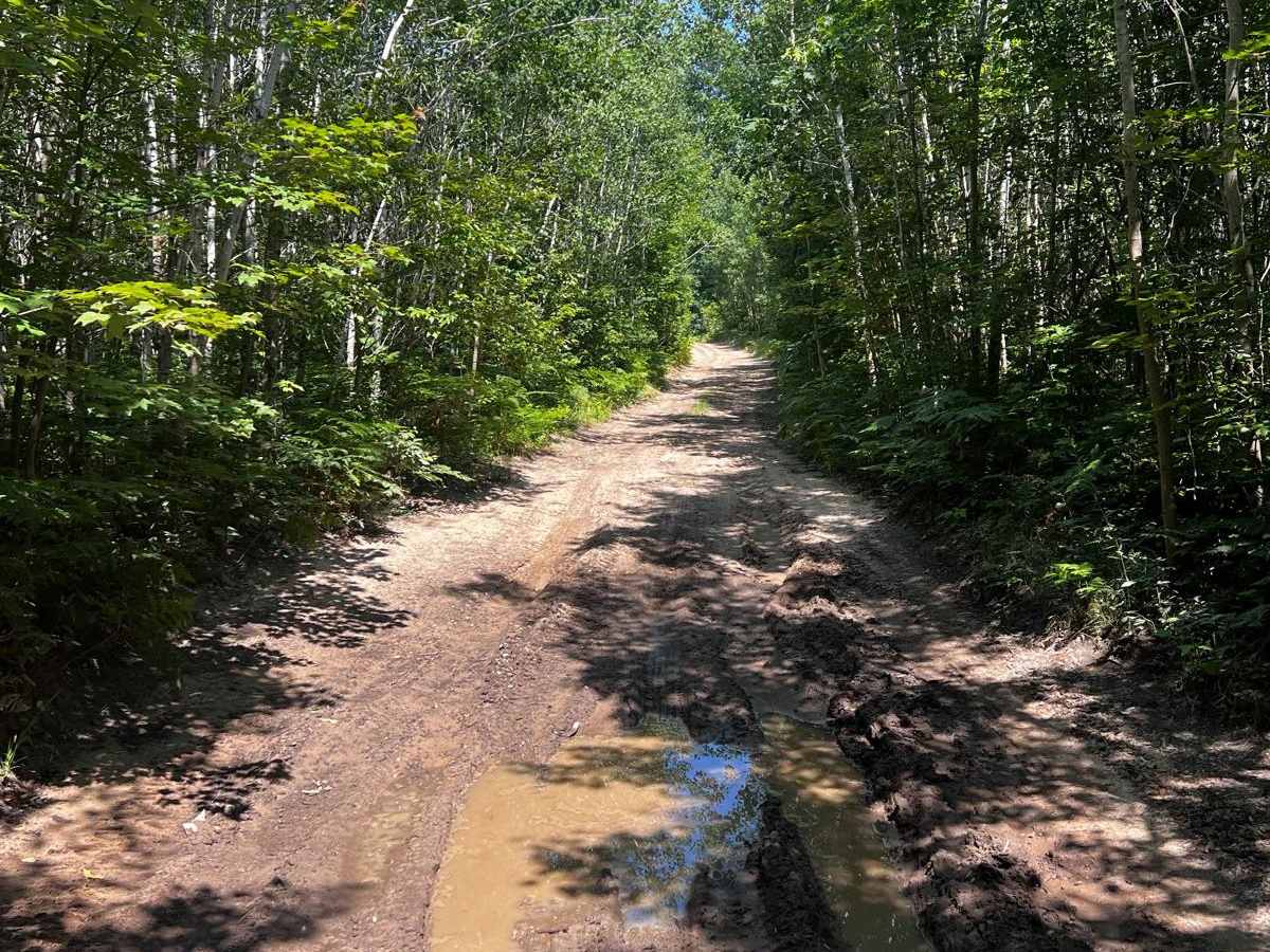 Pinewood Connector Trail photo 4