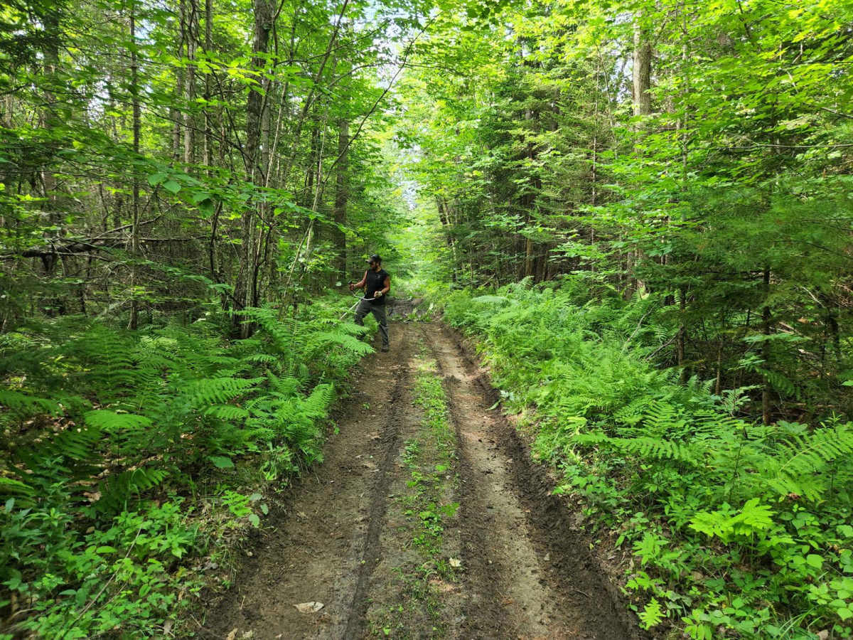 Center Trail photo 3