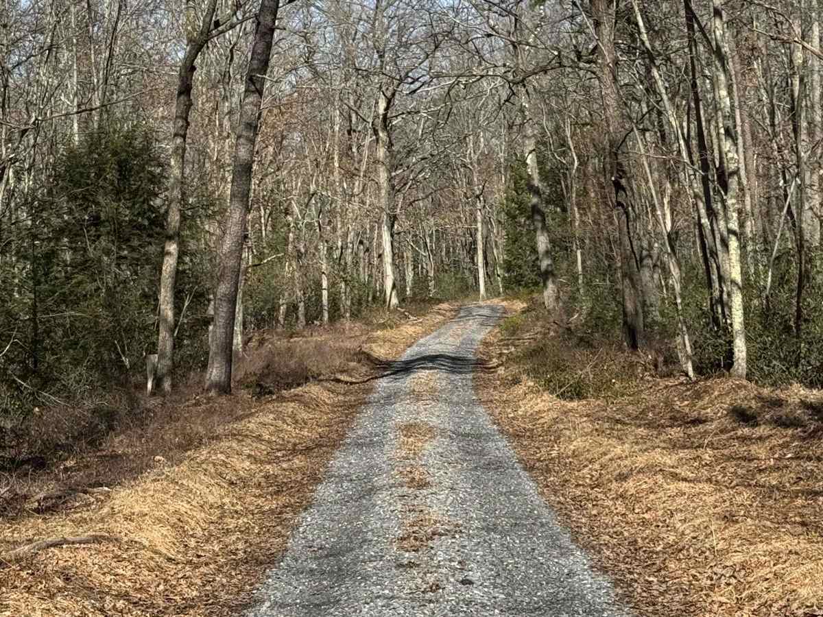 First Fork Road photo 6