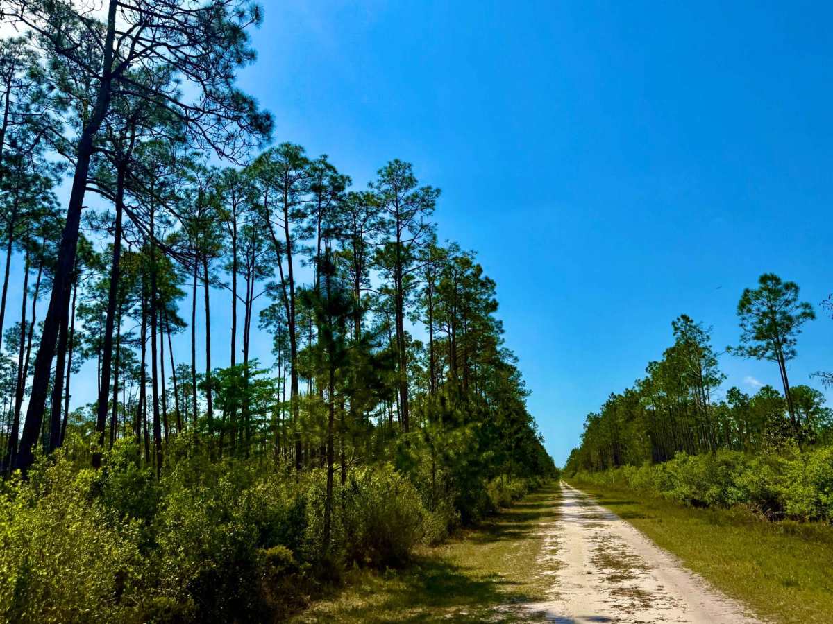 Oil Well Road - SFR 29 photo 5