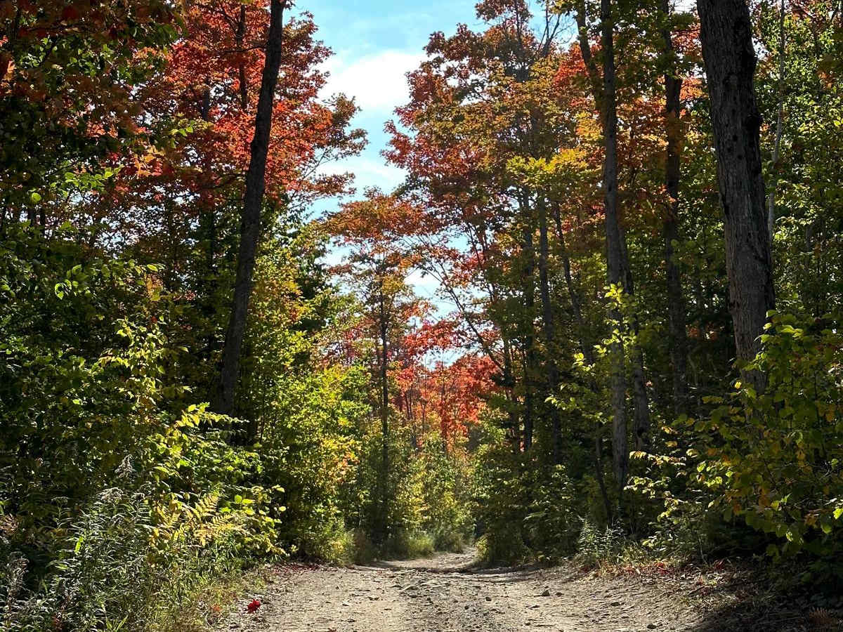 ORV Spur photo 3