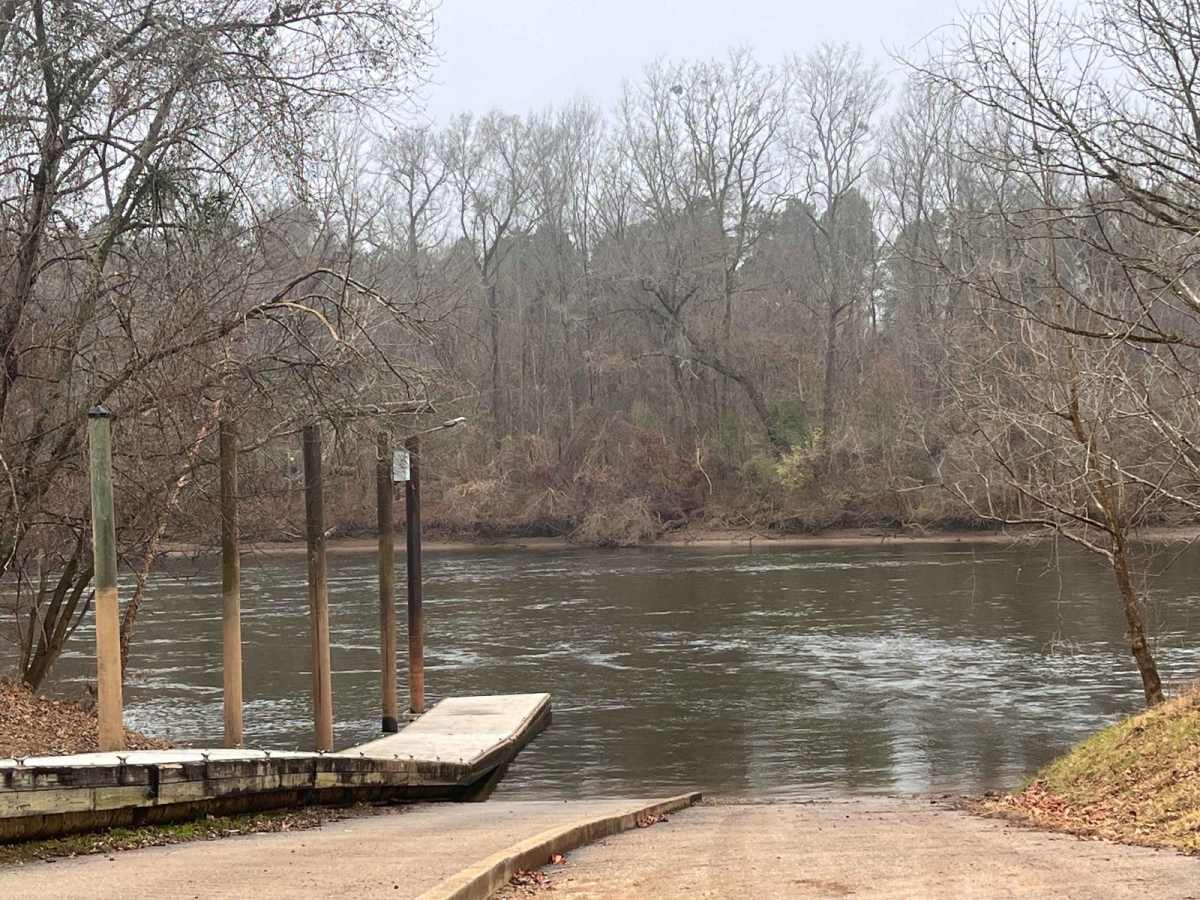 Landing Road trail photo