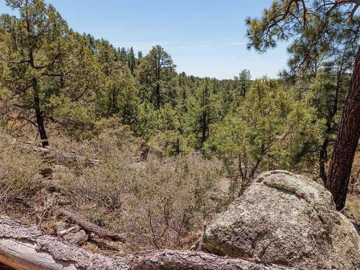 Bear Canyon Rd-FS 855 A photo 6