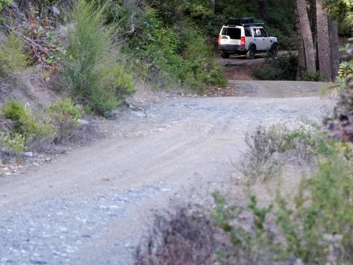 Gasquet Mountain Road - FSR 17N49 photo 3