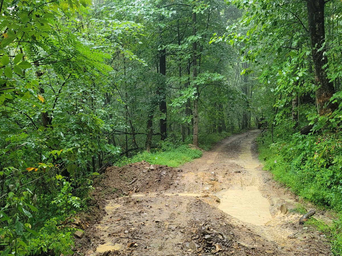 Trail 87 - Poplar Creek photo 6