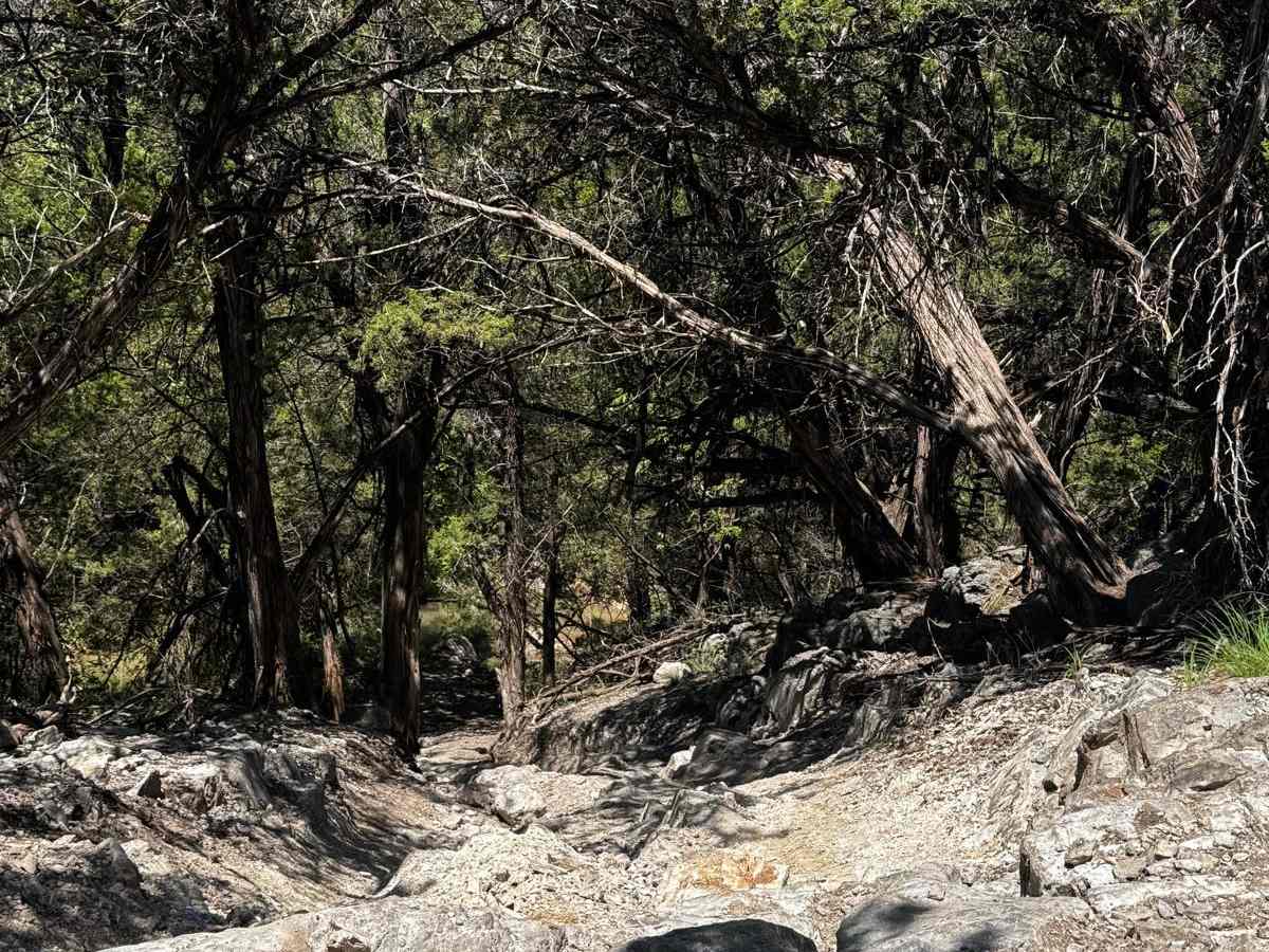Riley's Ridge photo 5
