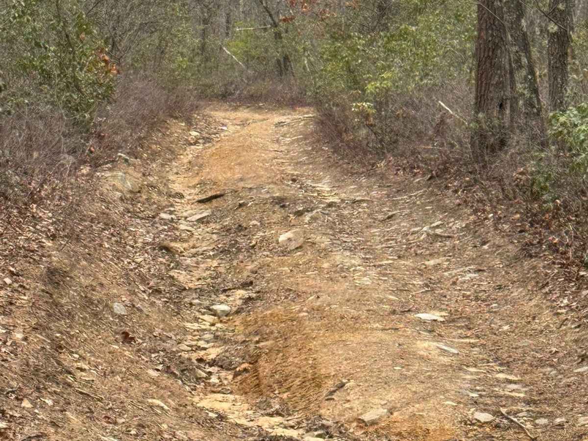 Wolf Run Supply Trail photo 5