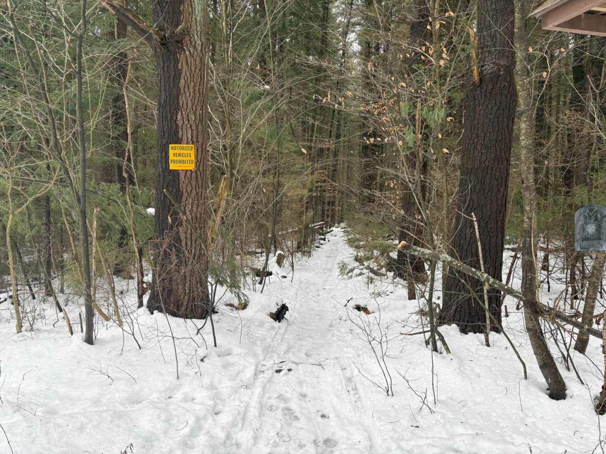 Bear Swamp photo 4