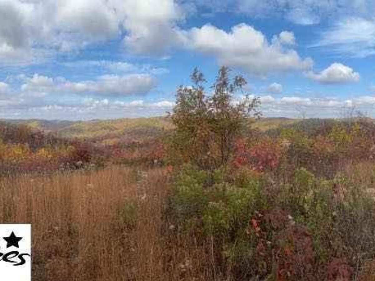 Trail 28 photo 4