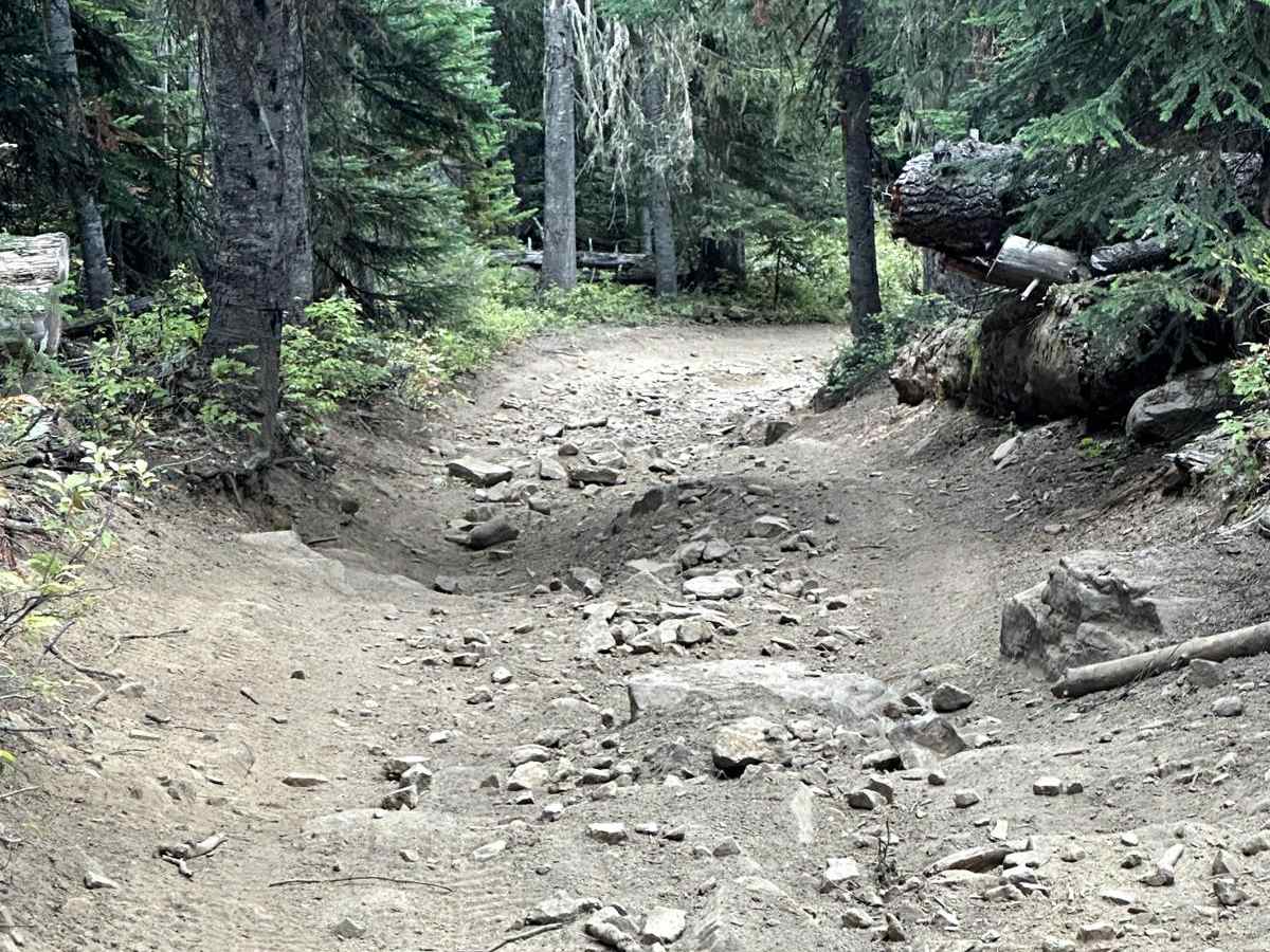 Naches 4X4 Trail photo 3