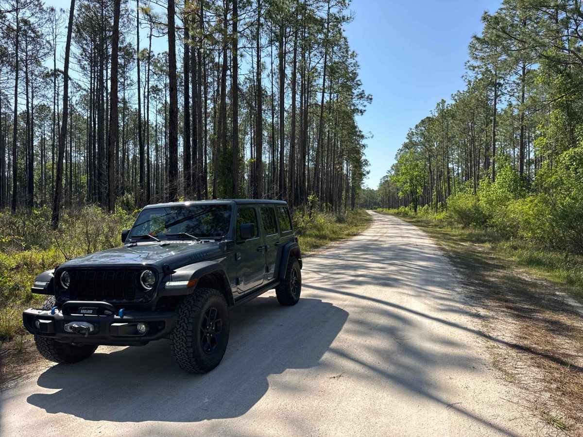 Coleman - Osceola NF 215 photo 5