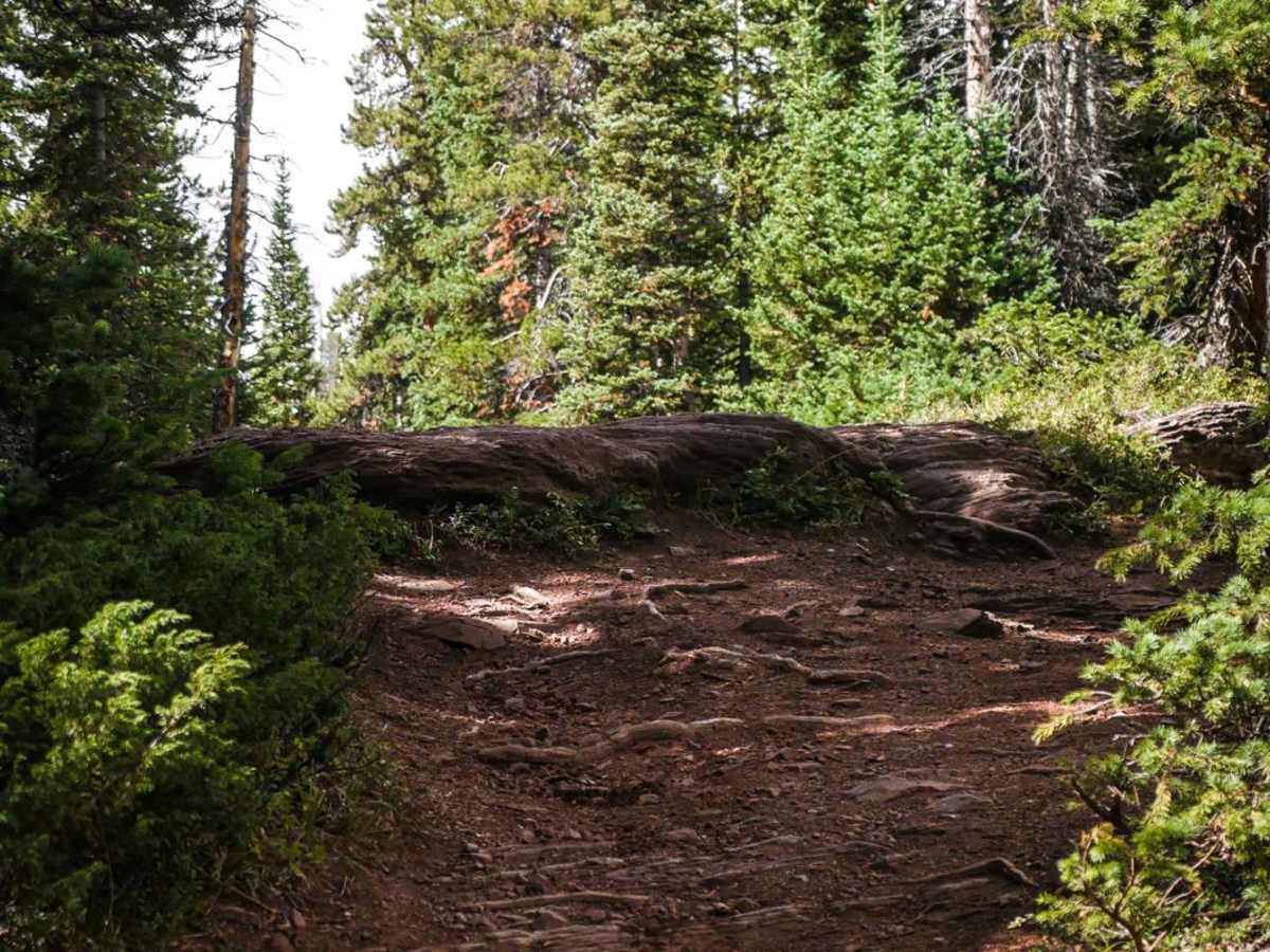Teocalli Ridge photo 6