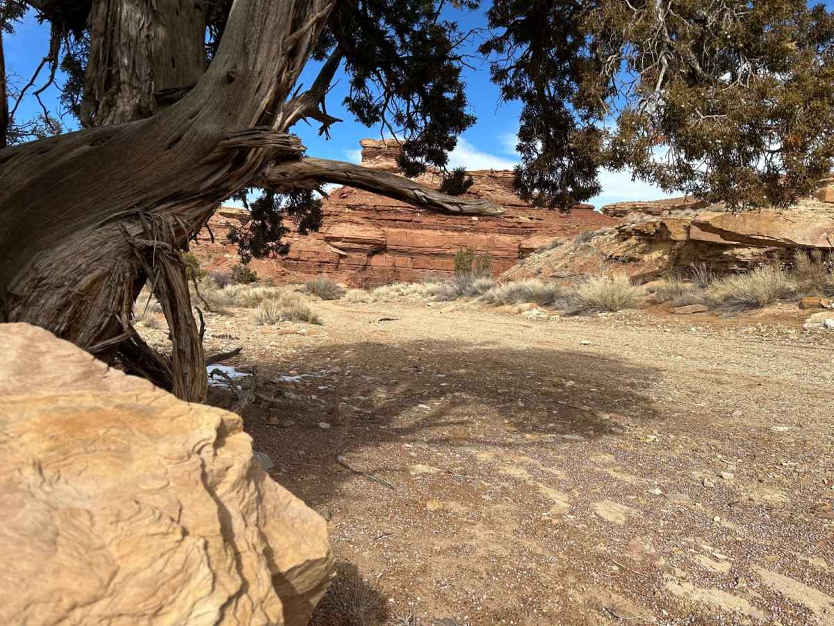 Little Wild Horse Canyon photo 3