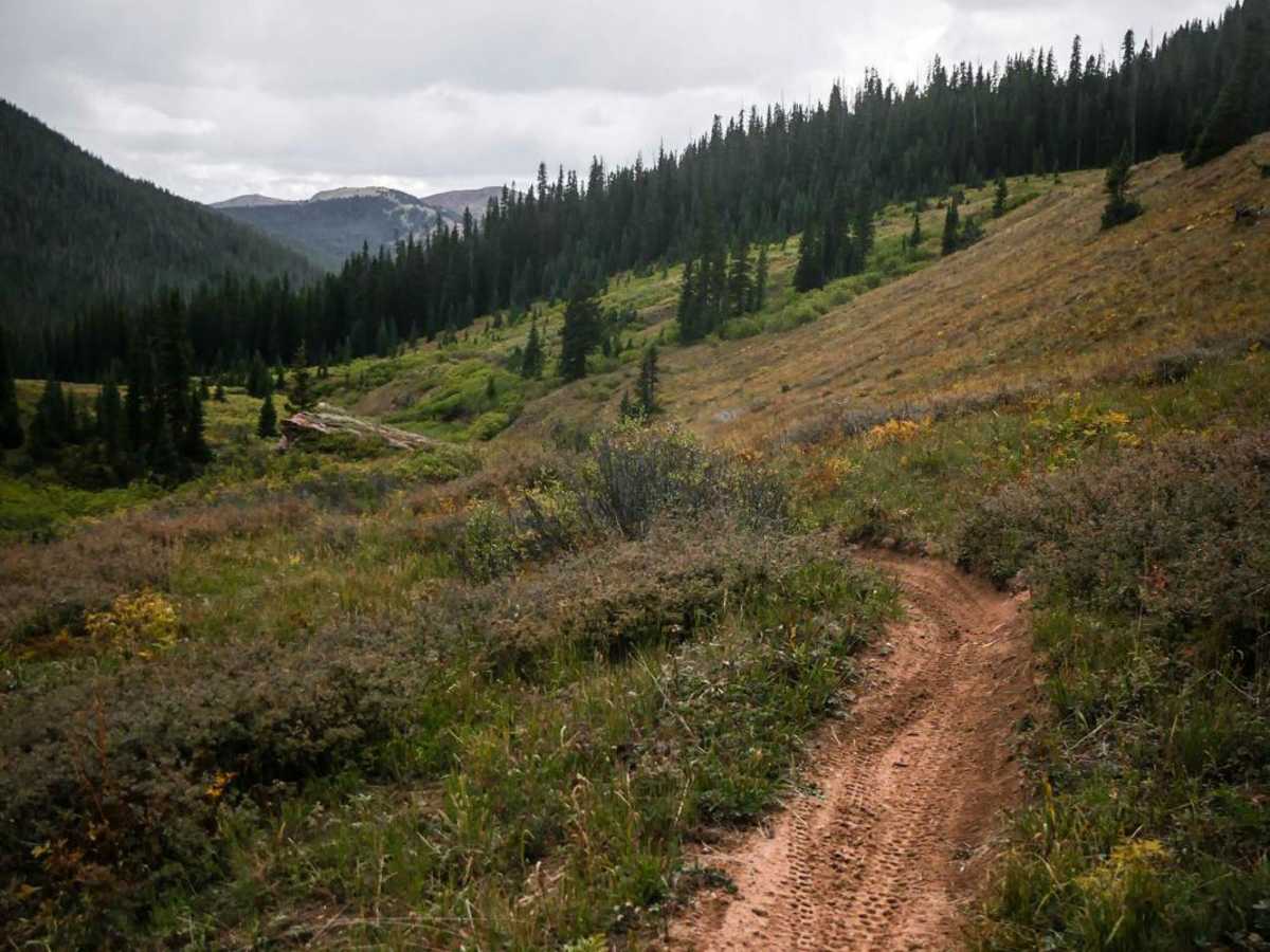 Brush Creek - Trail 400 photo 5