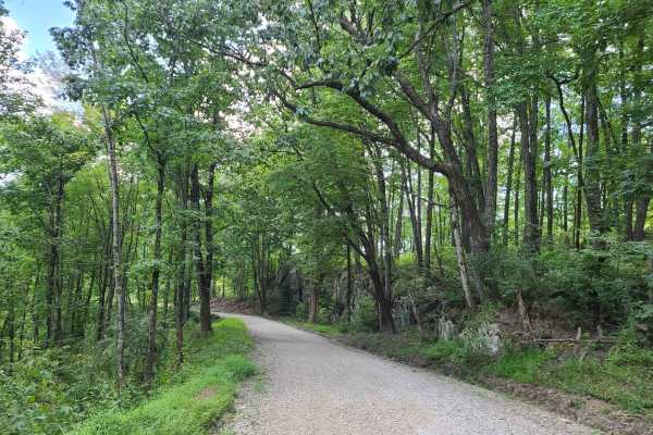 Elk Viewing Tower Road - Trail 25