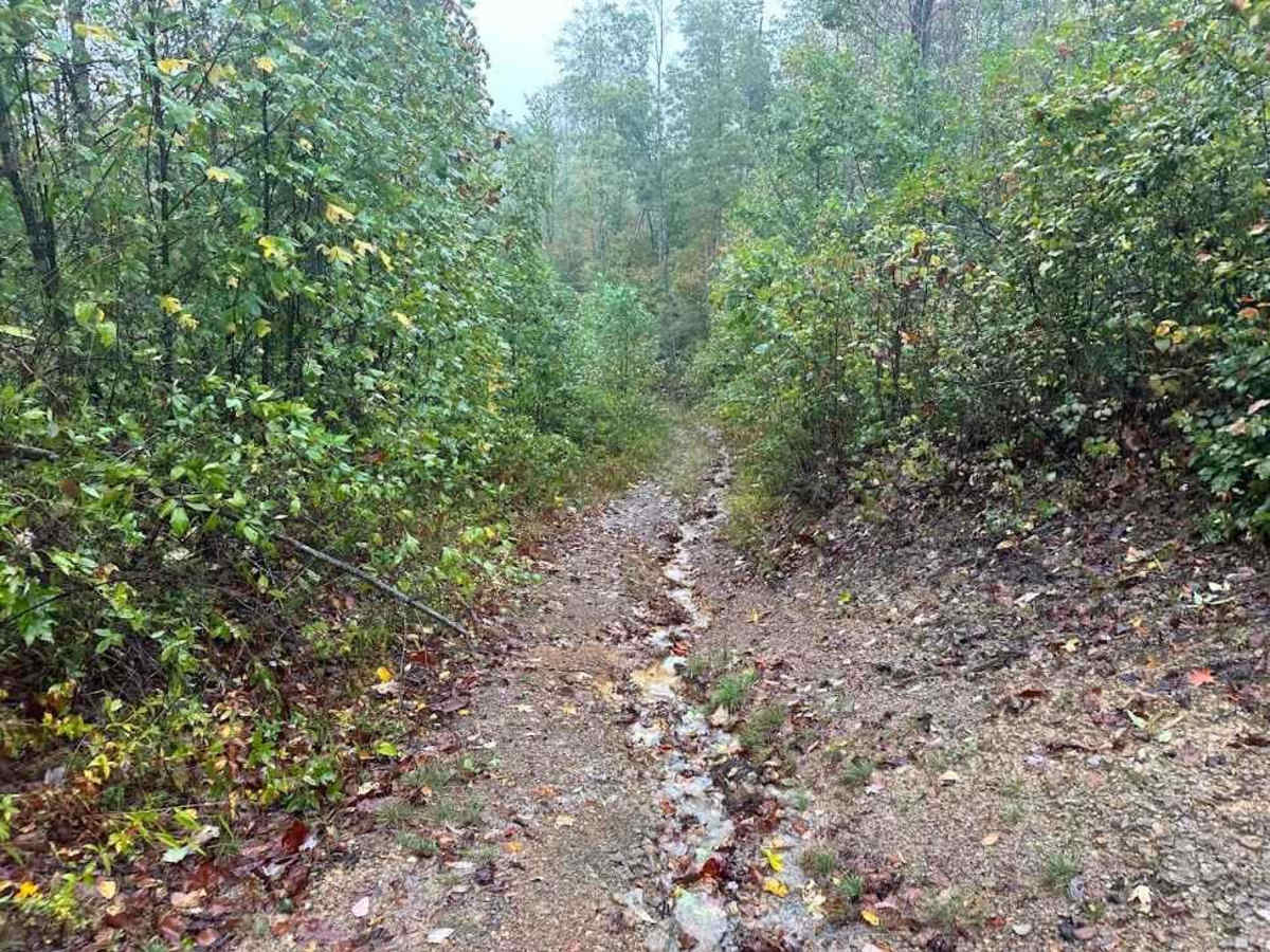 33 Green trail photo