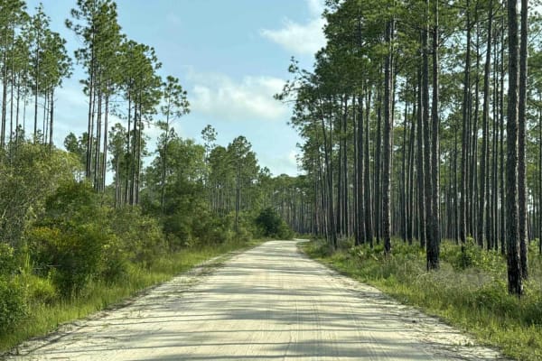 West River Road