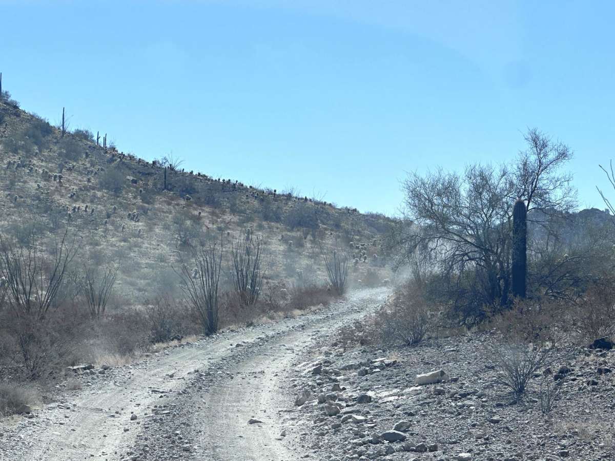 El Camino Del Diablo (Cabeza Prieta) photo 4